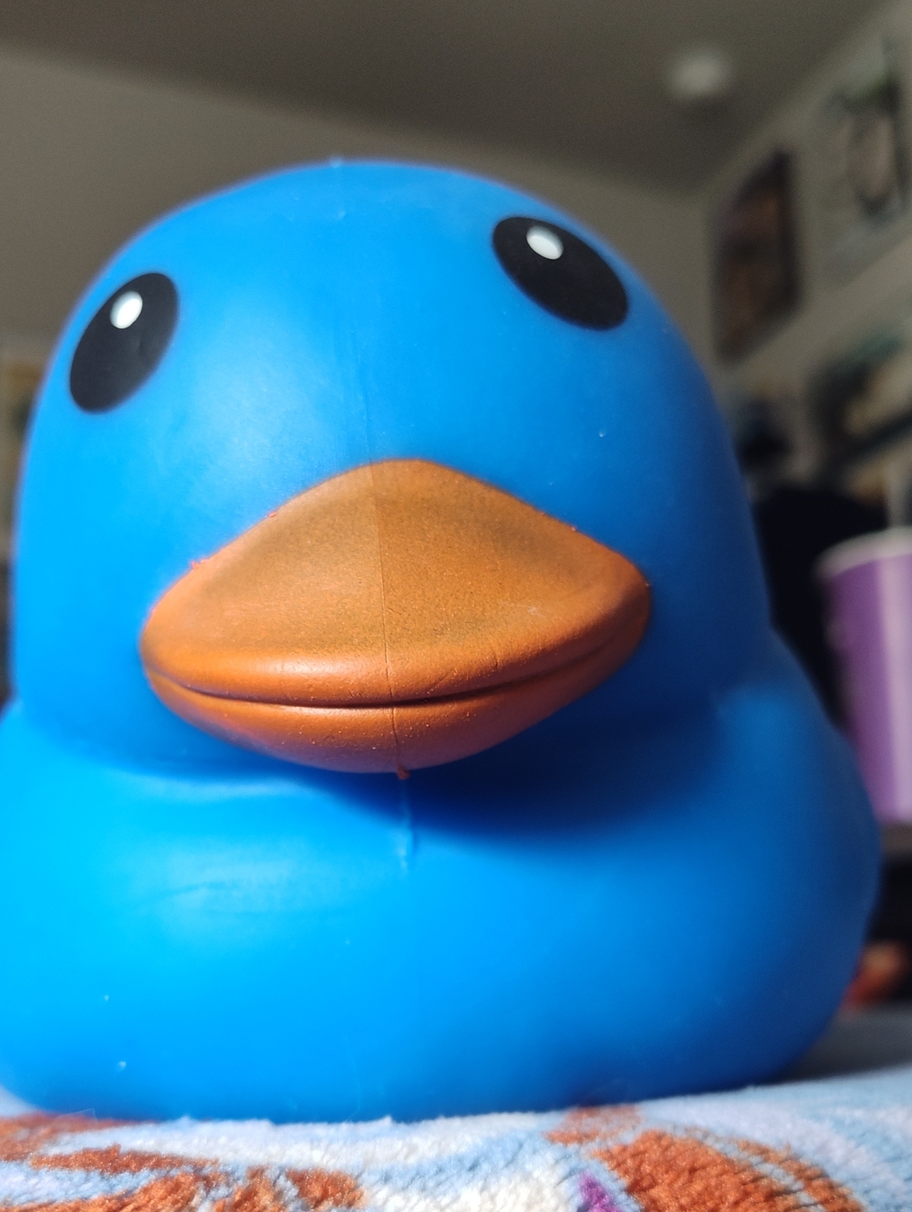 Jumbo Duck Squishy- Blue